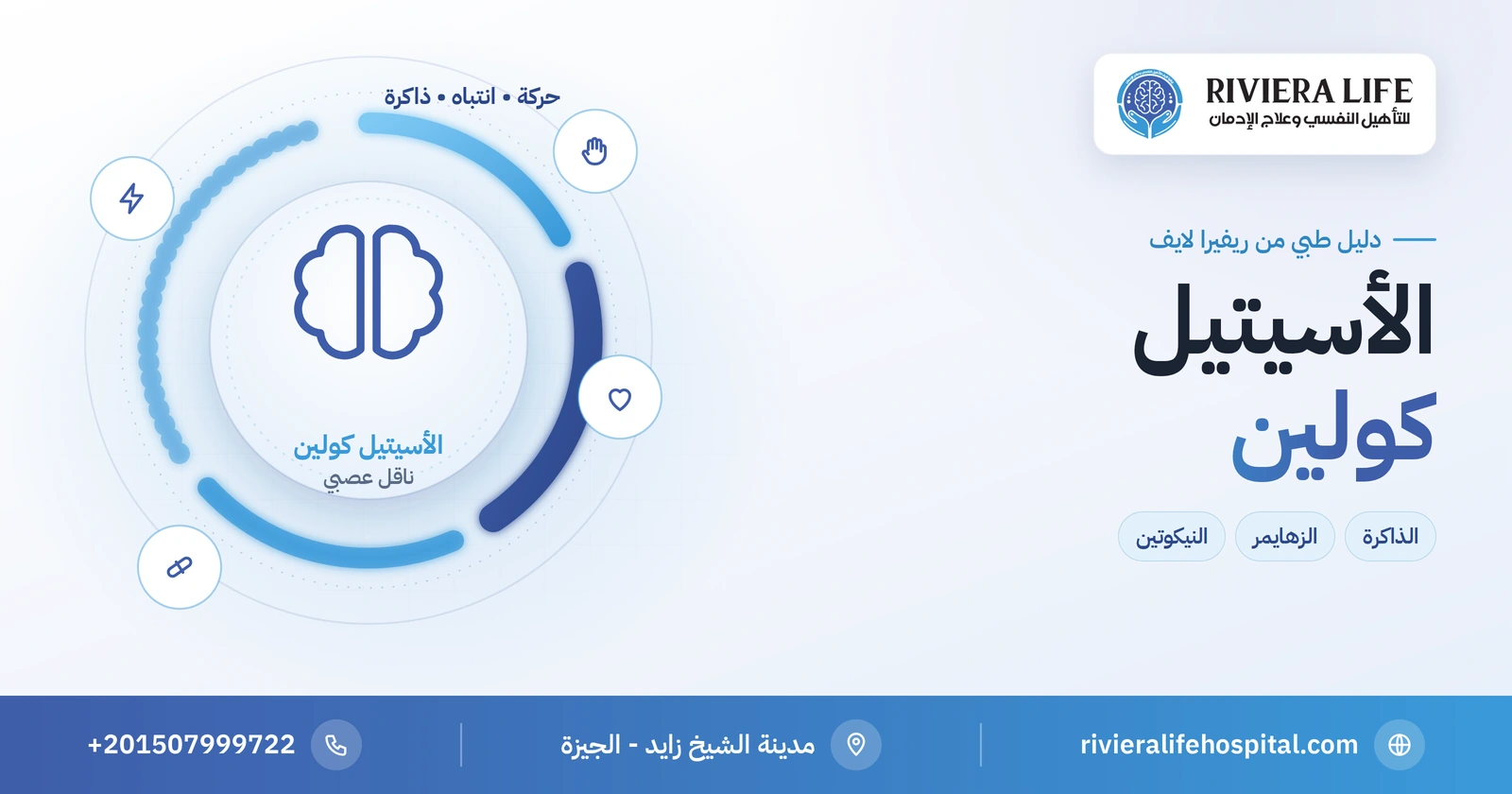 الأسيتيل كولين: وظائفه وعلاقته بالذاكرة والزهايمر والنيكوتين 2 الأسيتيل كولين: الناقل العصبي للحركة والانتباه والذاكرة — ريفيرا لايف