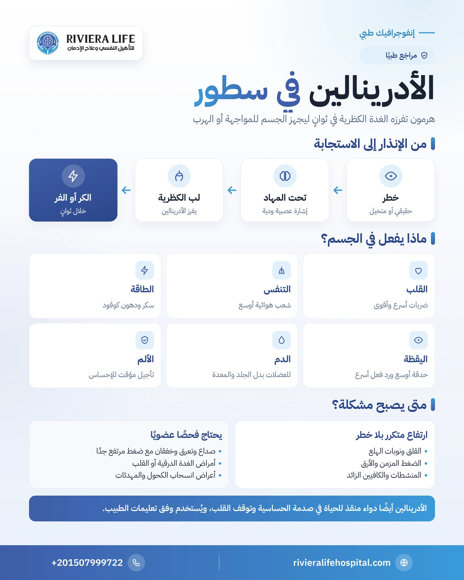 إنفوجرافيك الأدرينالين: من الغدة الكظرية إلى تأثيراته على القلب والتنفس والطاقة ومتى يصبح مشكلة — ريفيرا لايف