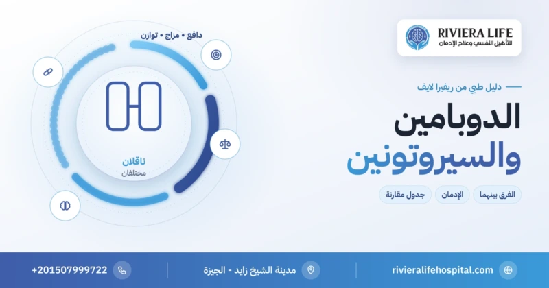 الفرق بين الدوبامين والسيروتونين: الدافع والمكافأة مقابل المزاج والهدوء — ريفيرا لايف