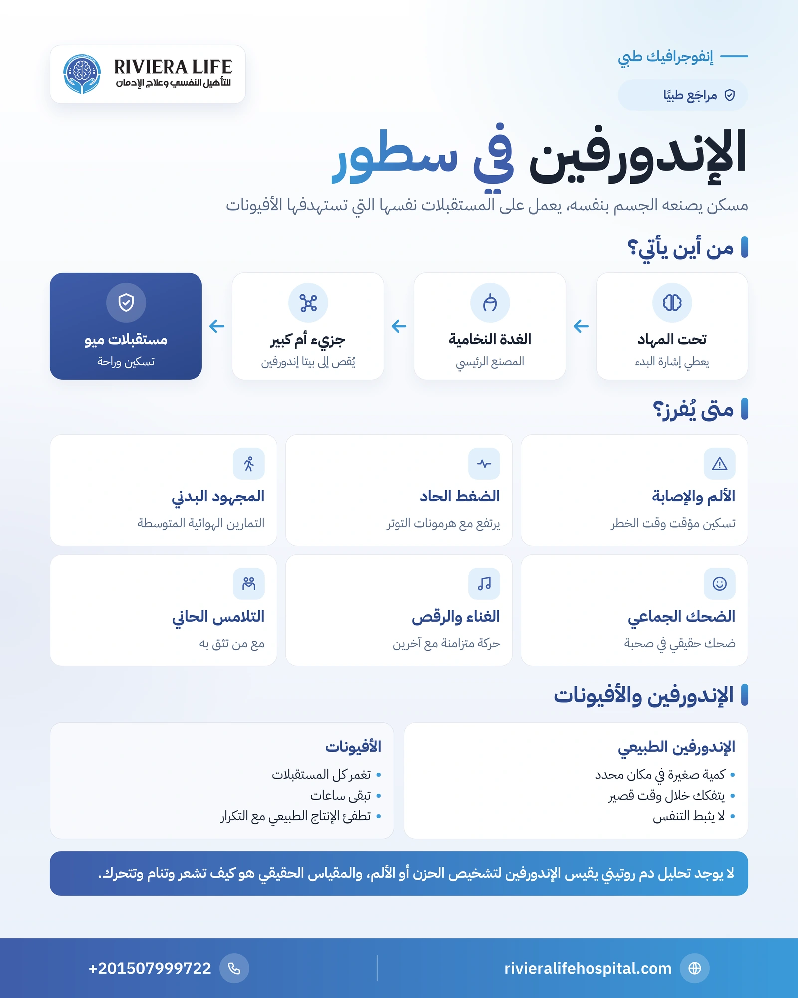 إنفوجرافيك الإندورفين: مصدره في الغدة النخامية ووظائفه ومحفزات إفرازه وعلاقته بالأفيونات — ريفيرا لايف