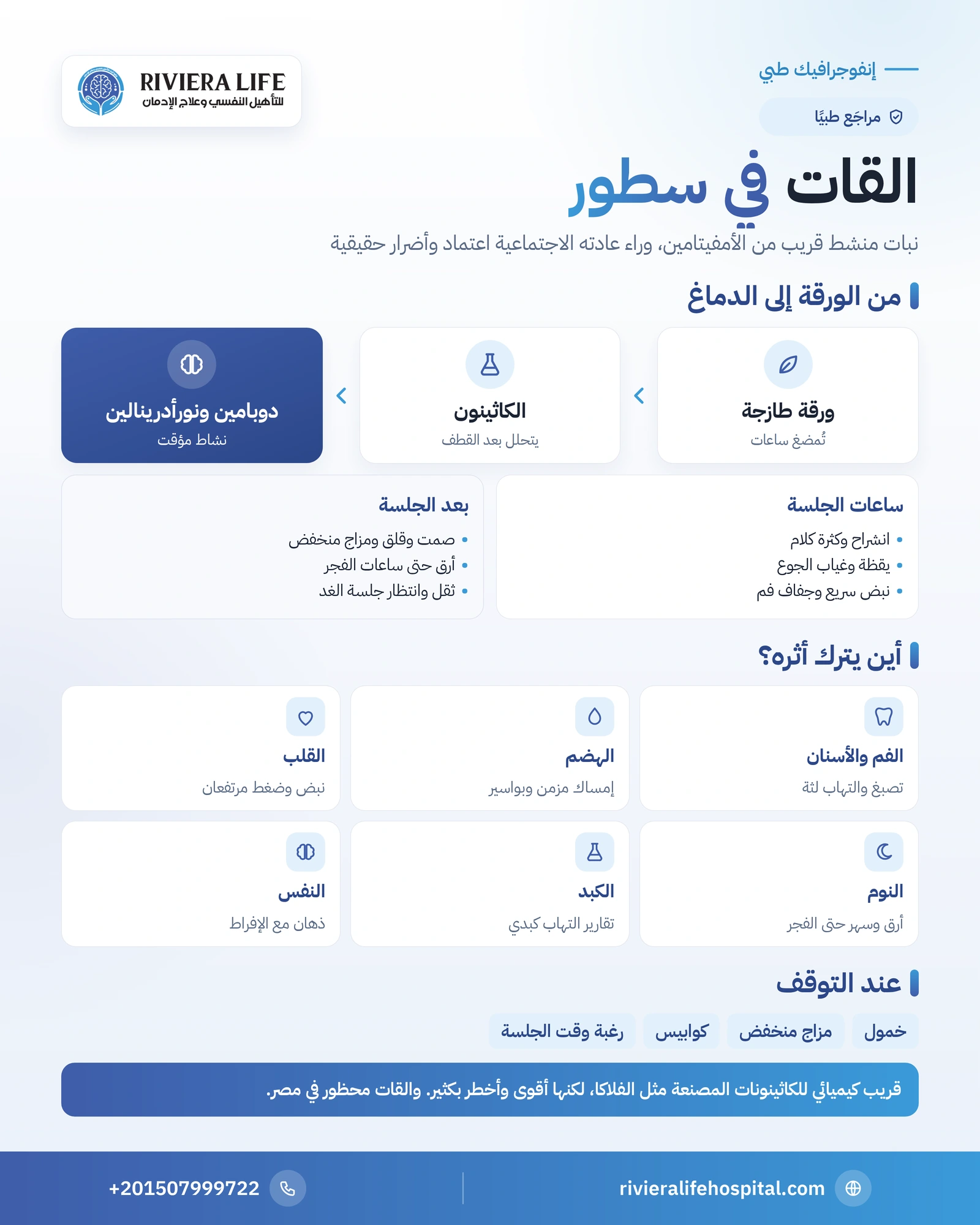 إنفوجرافيك القات: من الورقة الطازجة إلى الكاثينون وأثره في الدماغ وأضراره على الفم والهضم والقلب والنوم — ريفيرا لايف