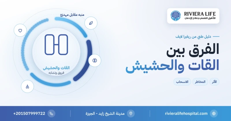 الفرق بين القات والحشيش في الأثر والمخاطر — ريفيرا لايف