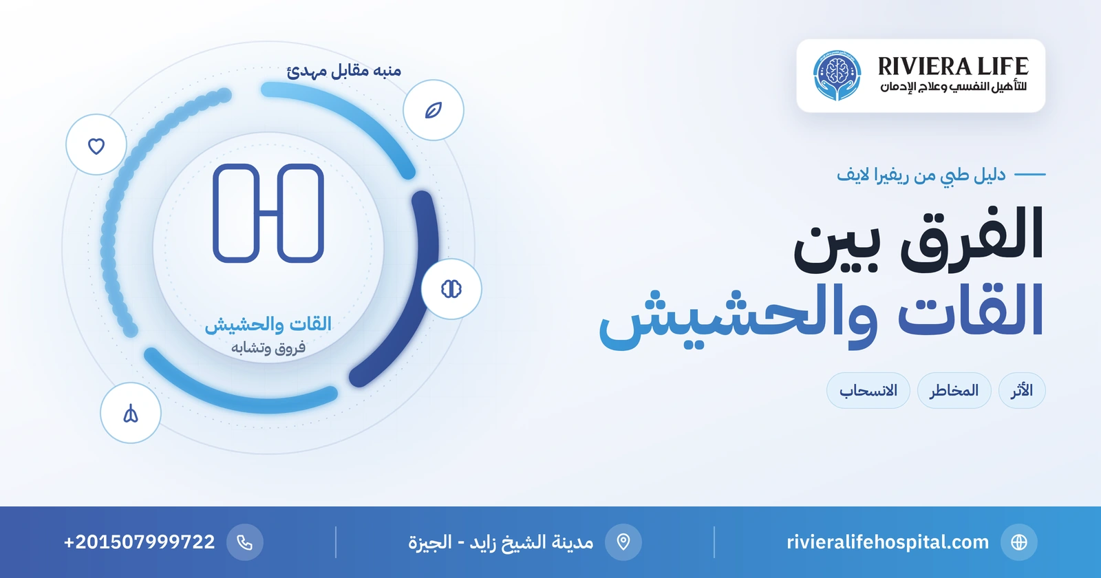 الفرق بين القات والحشيش: الأثر والمخاطر والاعتماد والانسحاب 2 الفرق بين القات والحشيش في الأثر والمخاطر — ريفيرا لايف