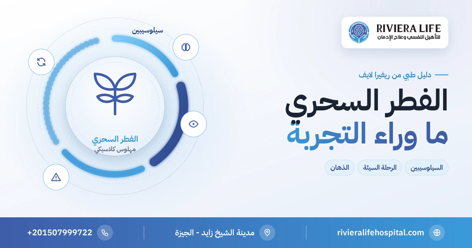 الفطر السحري: ما هو وكيف يؤثر في الدماغ وهل يسبب الإدمان؟ 2 الفطر السحري: ما هو السيلوسيبين وتأثيره ومخاطره النفسية — ريفيرا لايف