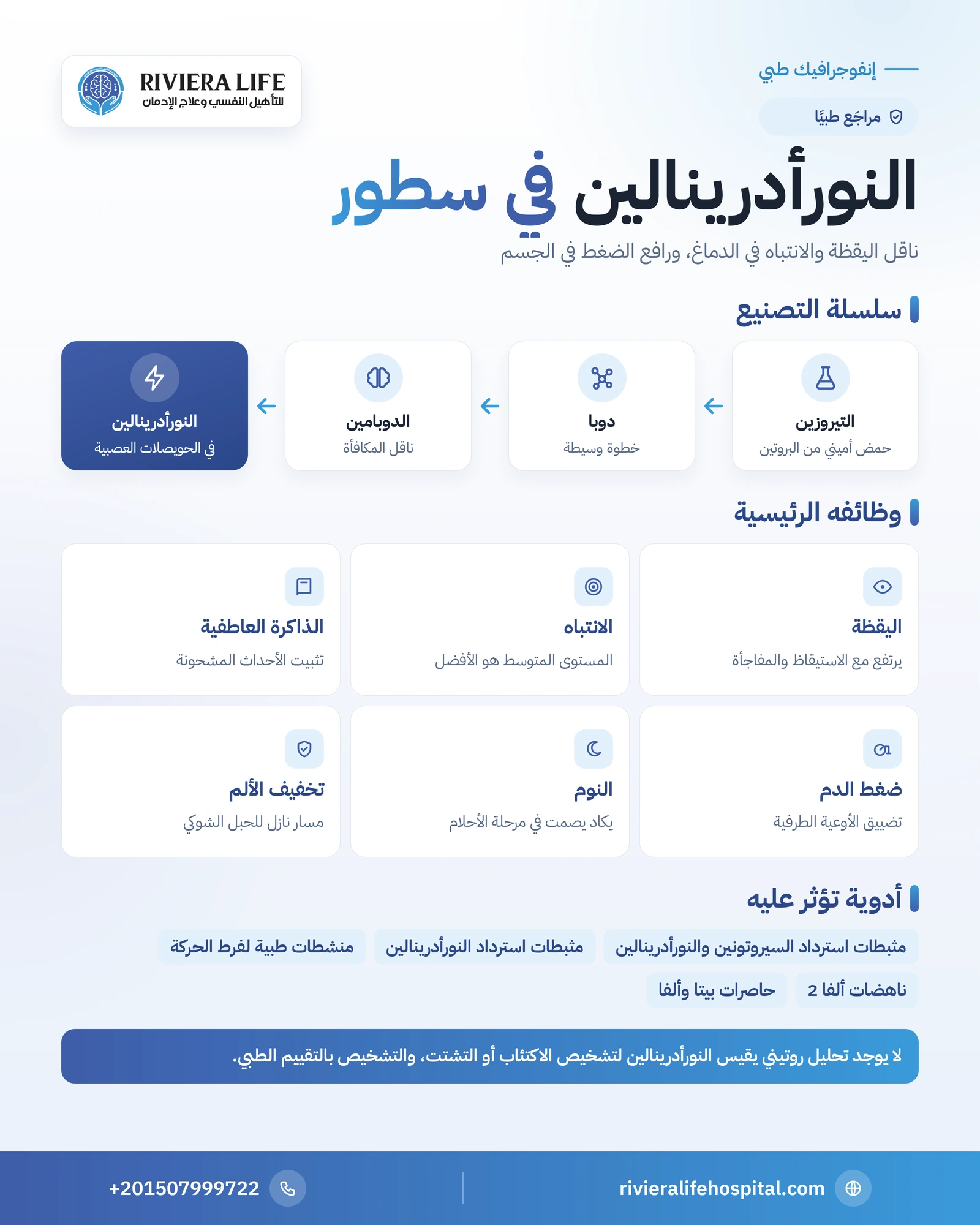 إنفوجرافيك النورأدرينالين: مصدره في الموضع الأزرق ووظائفه في الانتباه والضغط والنوم والأدوية المؤثرة عليه — ريفيرا لايف